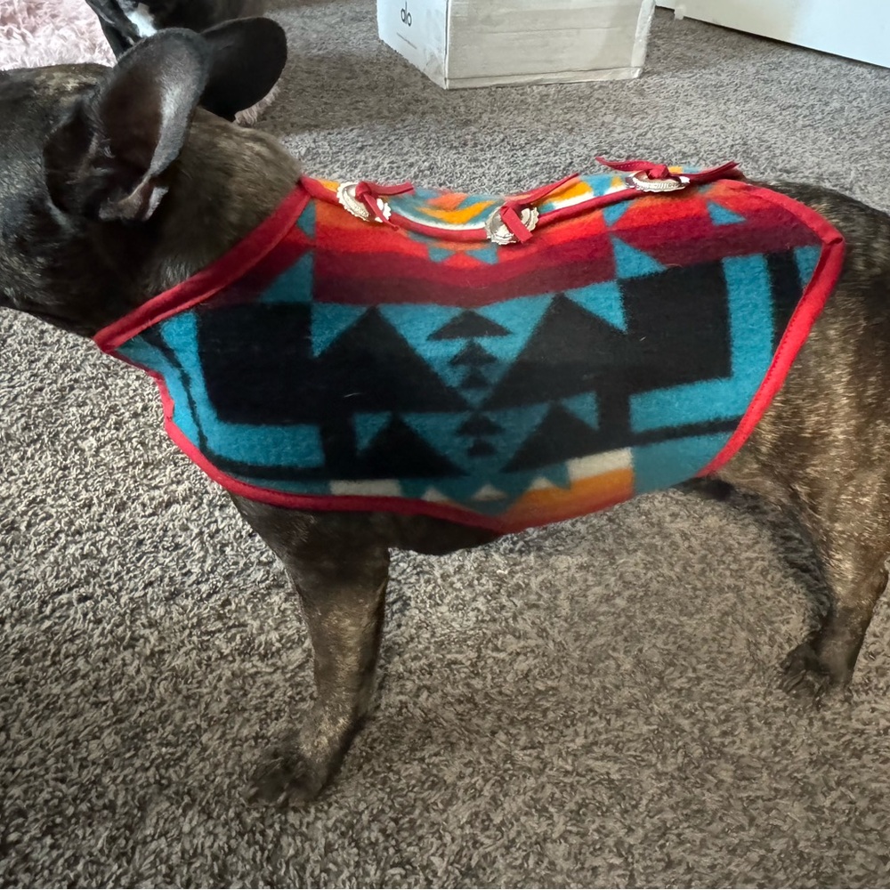 Pendleton Stylish Red and Black Dog Sweater with conchos.